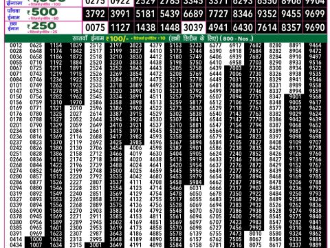 Rajshree Lottery Result Today