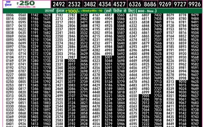 Rajshree 50 Som Weekly Lottery 7:30pm Result 17 November 2025