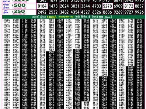 Rajshree Lottery Result Today