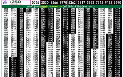 Rajshree 50 Ravi Weekly Lottery 7:30pm Result 16 November 2025