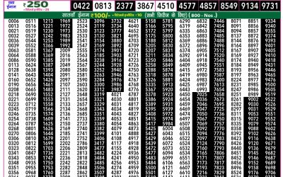 Everest Lottery Result Today Rajshree 50 Mangal Weekly Lottery 7.30pm Result 04 November 2025