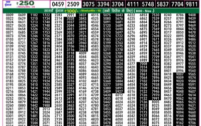 Everest Lottery Result Today Rajshree 50 Ravi Weekly Lottery 7:30pm Result 02 November 2025