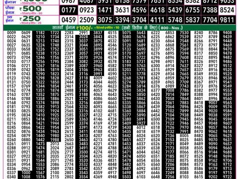 Rajshree Lottery Result Today