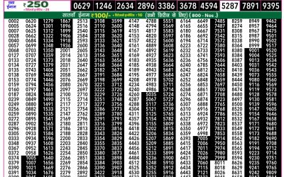 Everest Lottery Result Today Rajshree 50 Mangal Weekly Lottery 7.30pm Result 25 November 2025
