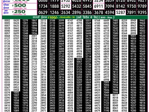 Rajshree Lottery Result Today