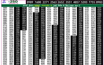 Everest Lottery Result Today Rajshree 50 Shani Weekly Lottery 7.30pm Result 08 November 2025
