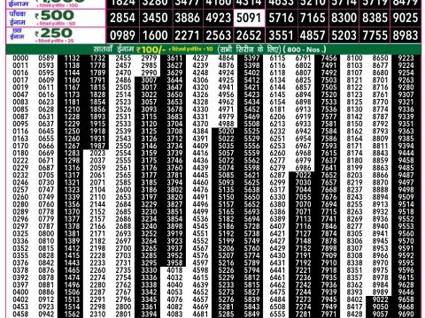 Rajshree Lottery Result Today