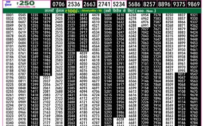 Everest Lottery Result Today Rajshree 50 Ravi Weekly Lottery 7:30pm Result 23 November 2025