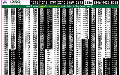 Everest Lottery Result Today Rajshree 50 Som Weekly Lottery 7:30pm Result 24 November 2025