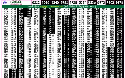 Everest Lottery Result Today Rajshree 50 Shukra Weekly Lottery 7.30pm Result 14 November 2025