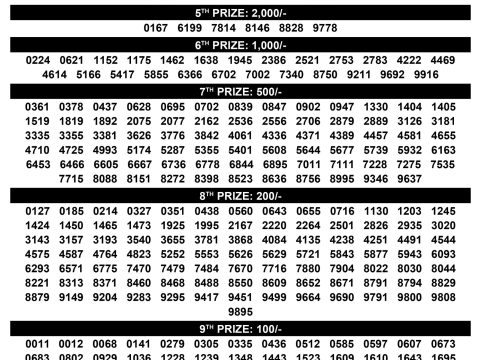 Rajshree Lottery Result Today