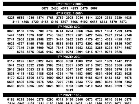 Rajshree Lottery Result Today