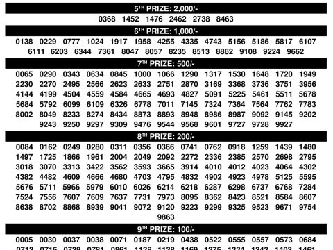 Rajshree Lottery Result Today