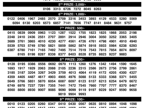 Kerala Lottery Result Bhagyathara BT28 10.11.2025 Rajshree Lottery Result Today