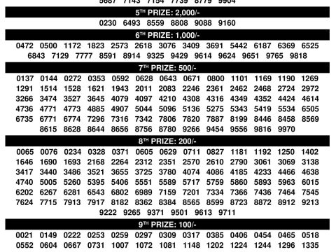 Rajshree Lottery Result Today