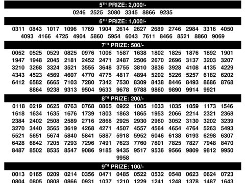 Rajshree Lottery Result Today