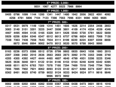 Rajshree Lottery Result Today