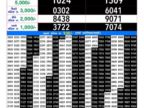 Rajshree Lottery Result Today