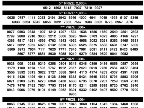 Rajshree Lottery Result Today