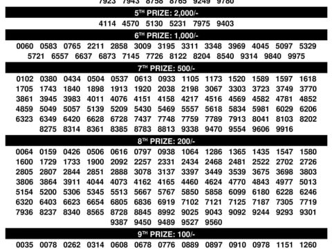 Rajshree Lottery Result Today