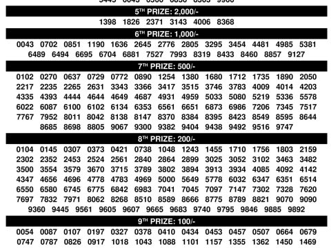 Kerala Lottery Result Sthree Sakthi SS493 3PM 11.11.2025 Rajshree Lottery Result Today
