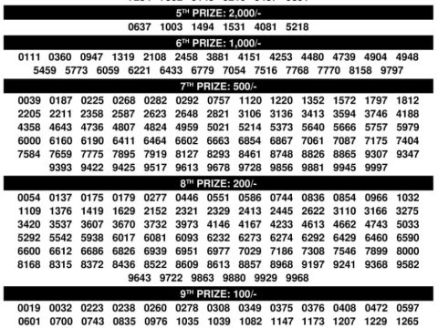 Rajshree Lottery Result Today