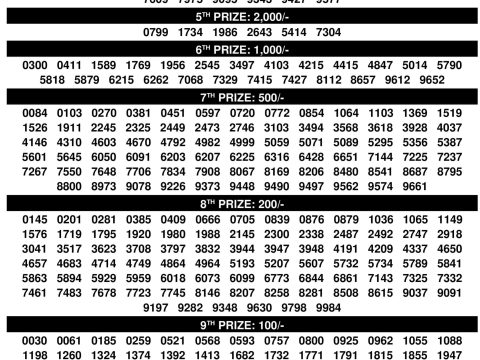 Rajshree Lottery Result Today
