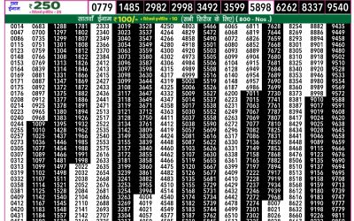 Everest Lottery Result Today Rajshree 50 Ravi Weekly Lottery 7:30pm Result 09 November 2025