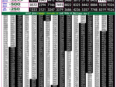 Rajshree Lottery Result Today