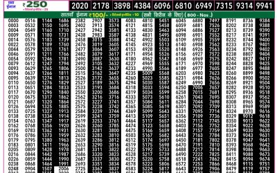 Rajshree 50 Budh Weekly Lottery 7:30pm Result 19 November 2025