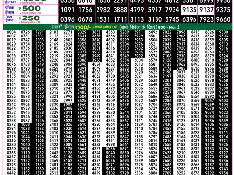 Rajshree Lottery Result Today