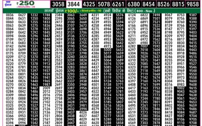 Rajshree 50 Shani Weekly Lottery 7.30pm Result 22 November 2025