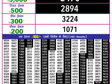 Rajshree Lottery Result Today
