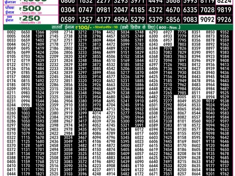 Rajshree Lottery Result Today