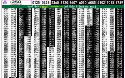 Everest Lottery Result Today Rajshree 50 Guru Weekly Lottery 7:30pm Result 13 November 2025