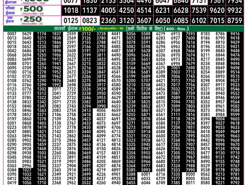 Rajshree Lottery Result Today