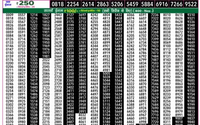 Everest Lottery Result Today Rajshree 50 Guru Weekly Lottery 7:30pm Result 27 November 2025