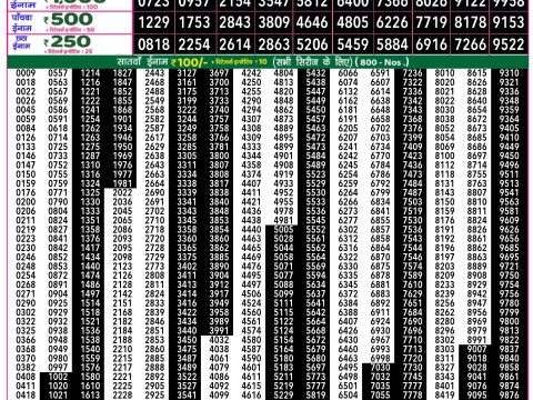 Rajshree Lottery Result Today