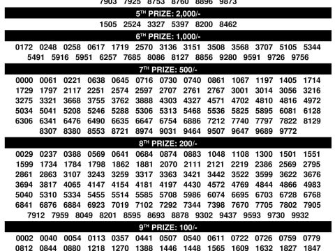 Rajshree Lottery Result Today