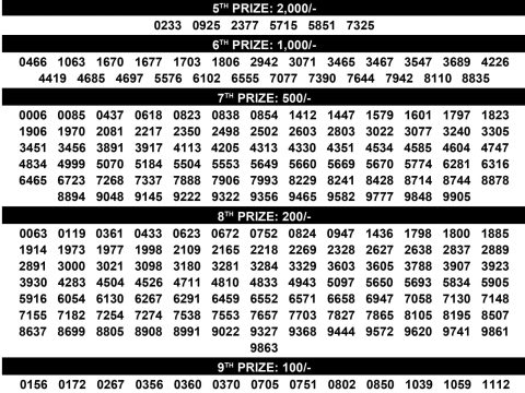 Rajshree Lottery Result Today