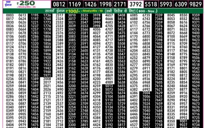 Everest Lottery Result Today Rajshree 50 Shukra Weekly Lottery 7.30pm Result 07 November 2025