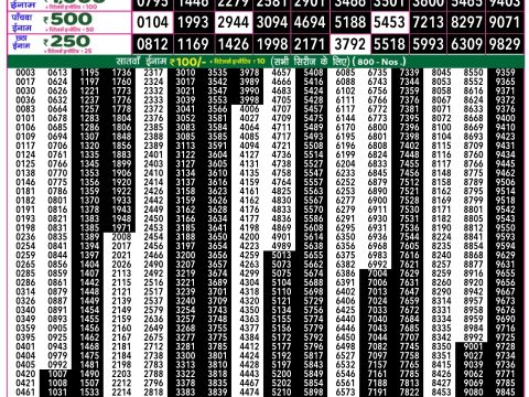 Rajshree Lottery Result Today