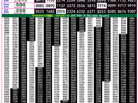 Rajshree Lottery Result Today