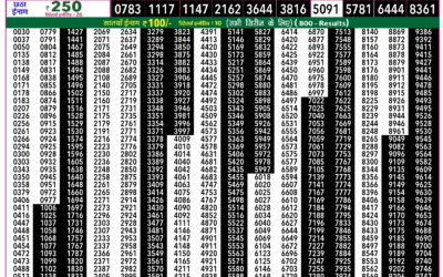 Rajshree 50 Ravi Weekly Lottery 7:30pm Result 14 December 2025