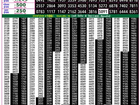 Rajshree Lottery Result Today
