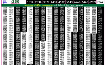 Everest Lottery Result Today Rajshree 50 Budh Weekly Lottery 7:30pm Result 10 December 2025