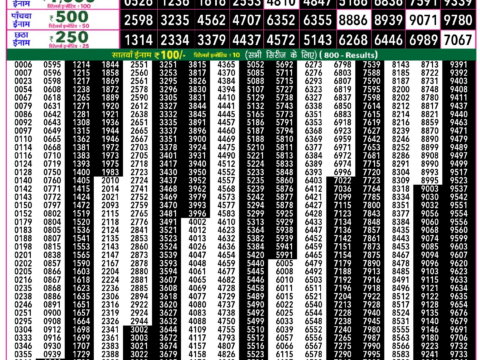Rajshree Lottery Result Today
