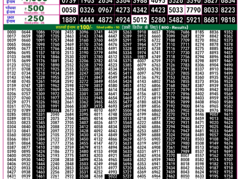 Rajshree Lottery Result Today