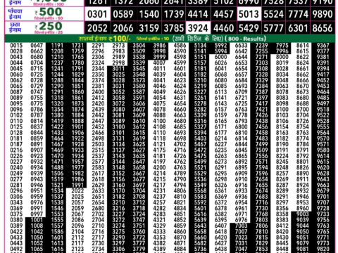 Rajshree Lottery Result Today