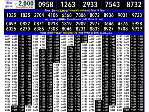Rajshree 80 Monthly Lottery Result 11 December 2025 Rajshree Lottery Result Today
